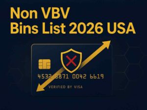 Non VBV Bins List for 2026 in the USA: The Complete Resource